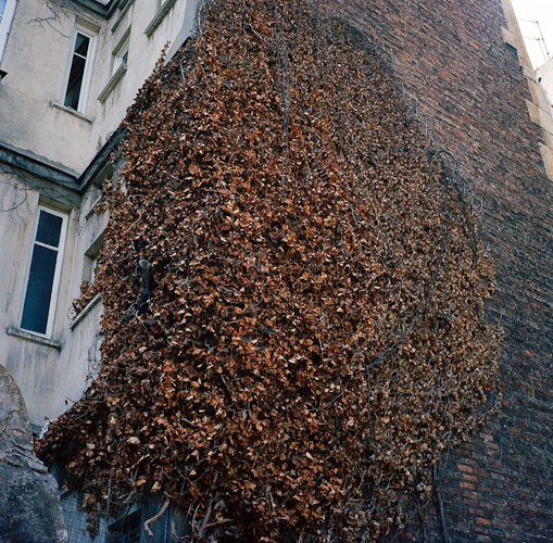 cemetery wall
